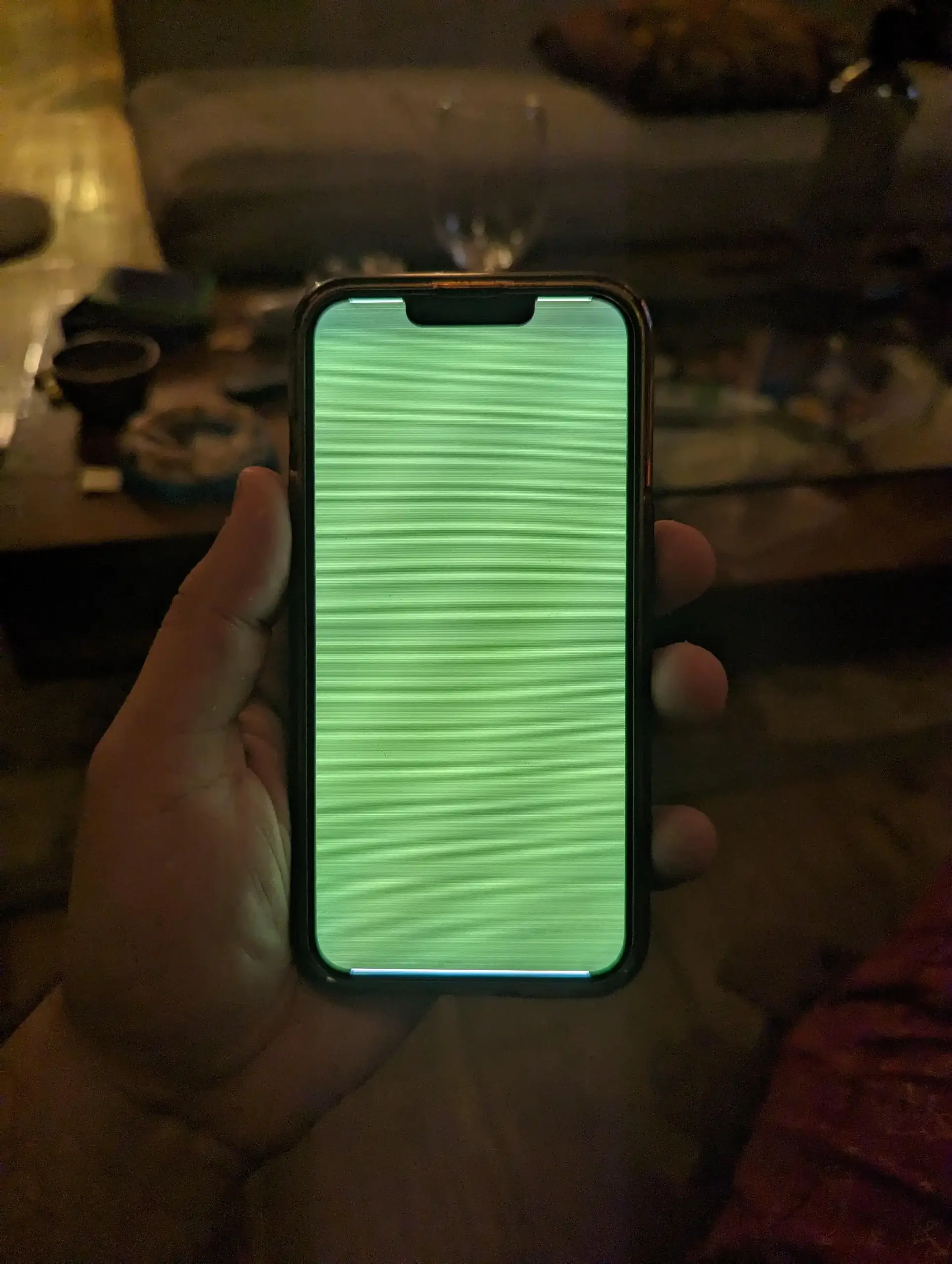 green screen of death iphone 13 pro max